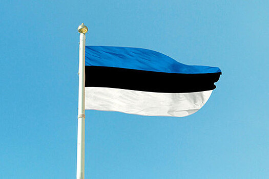МВД: Эстония не будет депортировать военнообязанных украинцев на родину