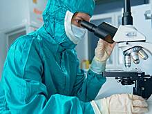 Карьерные возможности: на каких столичных предприятиях стажируются студенты из Москвы