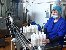 После скачков цен в Крыму решили нарастить производство яиц и молока