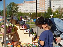Пять сельскохозяйственных ярмарок открылись сегодня в Вологде