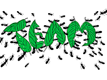 Туристы пожаловалась на неприятных соседей в номере пятизвездочного отеля