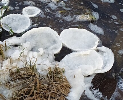 Фото дня: на поверхности реки в парке Рускеала образовались «ледяные блинчики»