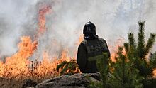 Названо число пострадаавших от масштабных пожаров в Красноярском крае