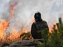 Названо число пострадаавших от масштабных пожаров в Красноярском крае