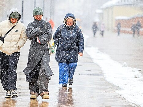 Снег выпадет на европейской части России на этой неделе