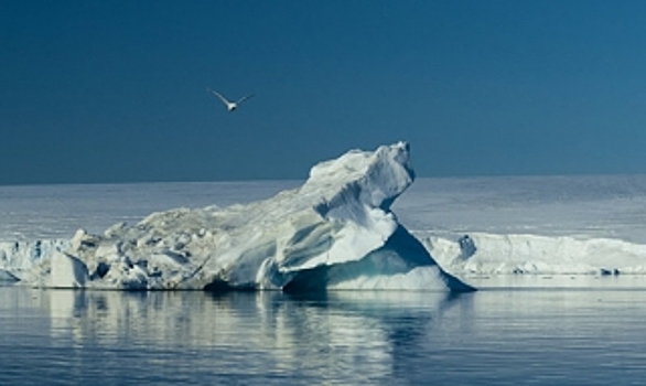 В Арктике обнаружили сферолиты и остатки базы американского путешественника