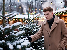 В Новосибирск доставили первую партию новогодних елей: на что обратить внимание