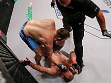 Шесть российских бойцов победили на турнире PFL 14, Мохнаткин проиграл Юсупову