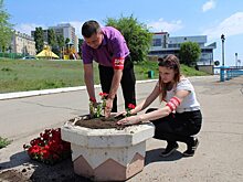 Водителей в Саратове тормозят цветочными вазонами