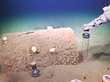 50-летние бочки с отходами превратили морское дно у Лос-Анджелеса в токсичные зоны