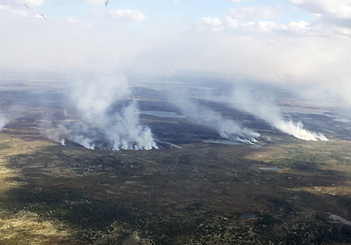 Пожаров на Ямале стало больше. В округ прибывает подкрепление для борьбы с огнем