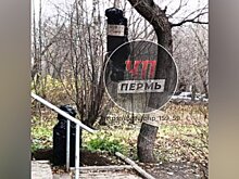 МВД: "пакет с телом" на дереве в Перми оказался инсталляцией