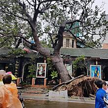 «Молились, чтобы не было цунами»: российские туристы рассказали о пережитом во Вьетнаме тайфуне «Дамри»