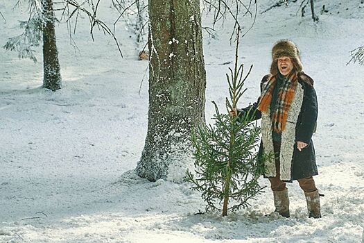 Появились новые подробности о новогоднем фильме «Елки 12»