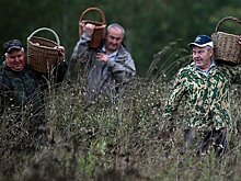 В Калужской области предложили возродить заготконторы