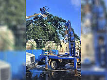 Главную елку Саратова демонтировали из-за повреждений в непогоду