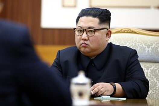Ким Чен Ын готов сотрудничать с Путиным