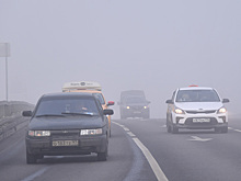 Водителей предупредили об осенней опасности на дороге