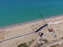 Жители Севастополя потребовали остановить вырубку лесов