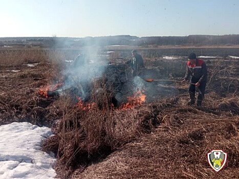 Второй ландшафтный пожар произошёл в Удмуртии с начала года