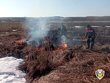 Второй ландшафтный пожар произошёл в Удмуртии с начала года