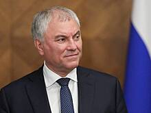 Володин поручил проработать вопрос о лишении полномочий депутата Напсо