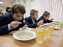 На организацию питания школьников 5-9 классов потребуется 84 миллиарда рублей