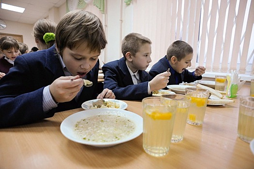 На организацию питания школьников 5-9 классов потребуется 84 миллиарда рублей