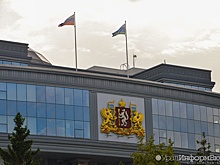 Депутат Скрозникова предложила разработать новый профстандарт для преподавателей