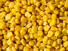 Азовский завод по переработке кукурузы запустят в конце 2026 года