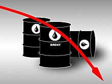 «Вместе выгодно»: нефтяное пике и новогодние туры