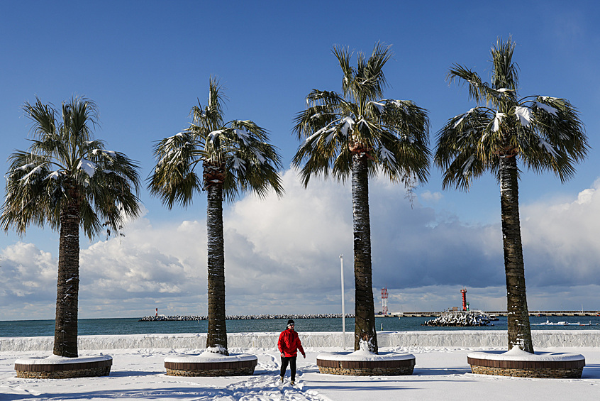 Снег в Сочи, февраль 2025 года