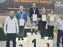 Вольная борьба принесла золото ноябрьцам