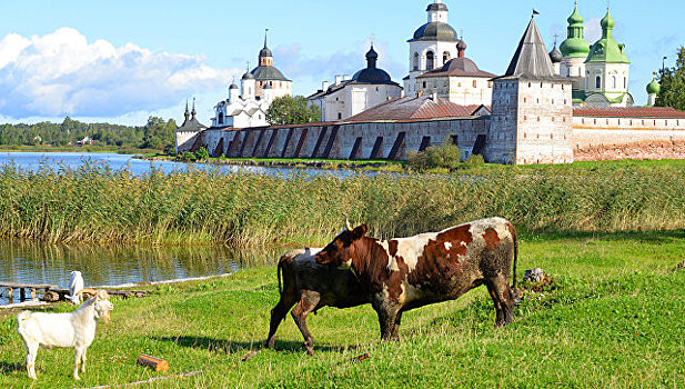 Инвестиции в экономику Вологодчины в этом году составят 132 млрд рублей