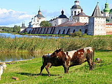 Инвестиции в экономику Вологодчины в этом году составят 132 млрд рублей
