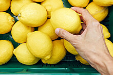 В подорожании лимонов заподозрили сговор