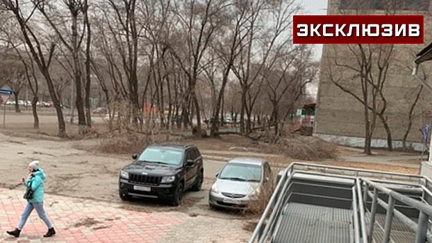 Жительницу Хакасии придавило деревом во время урагана, она в реанимации