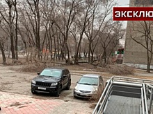 Жительницу Хакасии придавило деревом во время урагана, она в реанимации