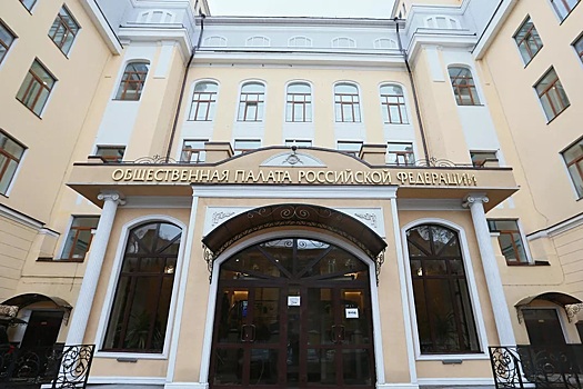 В Общественной палате раскритиковали законопроект о запрете кормления бездомных животных