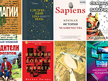 Bookchain: эмоциональный интеллект и школа для дураков