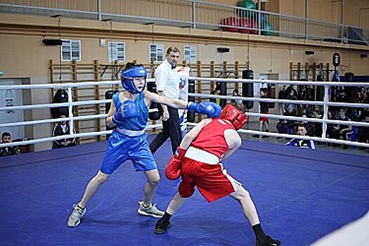 Хабаровские спортсмены оказались сильнее всех в соревнования по боевым искусствам