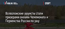 Всеволожские ушуисты стали призерами онлайн-Чемпионата и Первенства России по ушу