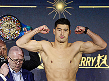 WBC склоняет Бивола к бою против Бенавидеса