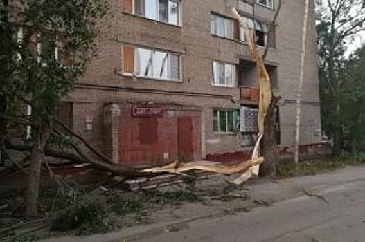 Сильнейший штормовой ветер возможен ночью в Омском регионе