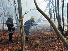 Пожар в Чернобыле: огонь подобрался к АЭС и хранилищам с радиационными отходами