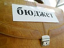 Южный Урал получит 70 млн на поддержку аграриев и кукольных театров