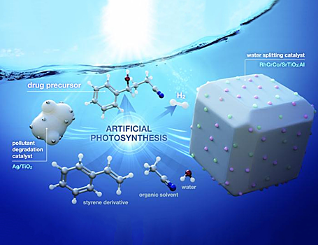Искусственный фотосинтез поможет производить ценные соединения