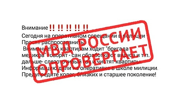 Воронежцев просят не верить фейкам о лжемедиках, грабящих квартиры под видом санобработки от вируса