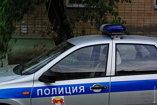 В Орловской области сотрудники полиции задержали иностранца, подозреваемого в покушении на сбыт крупной партии героина