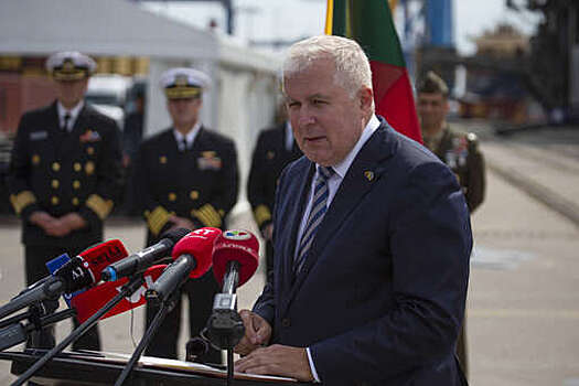 Премьер Литвы Шимоните получила письмо министра обороны Анушаускаса об отставке